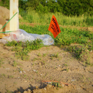 Utilities & Compost